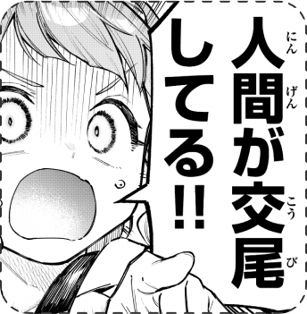 人間が交尾